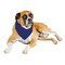 Mechaly 6 Pack Solid Polyester Dog Neckerchief Triangle Bibs - Extra Large